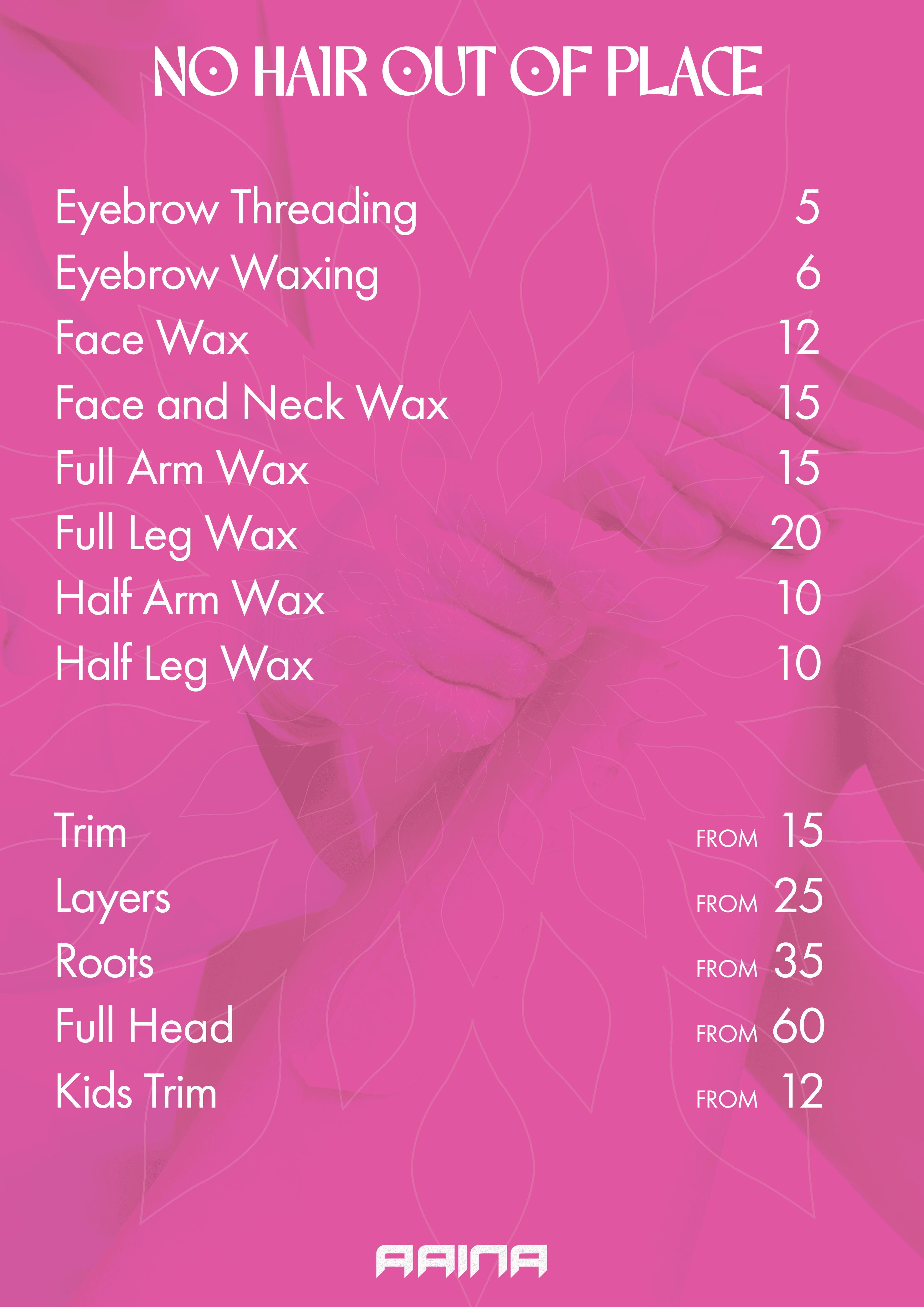 Aaina A3 price list with unified brand design